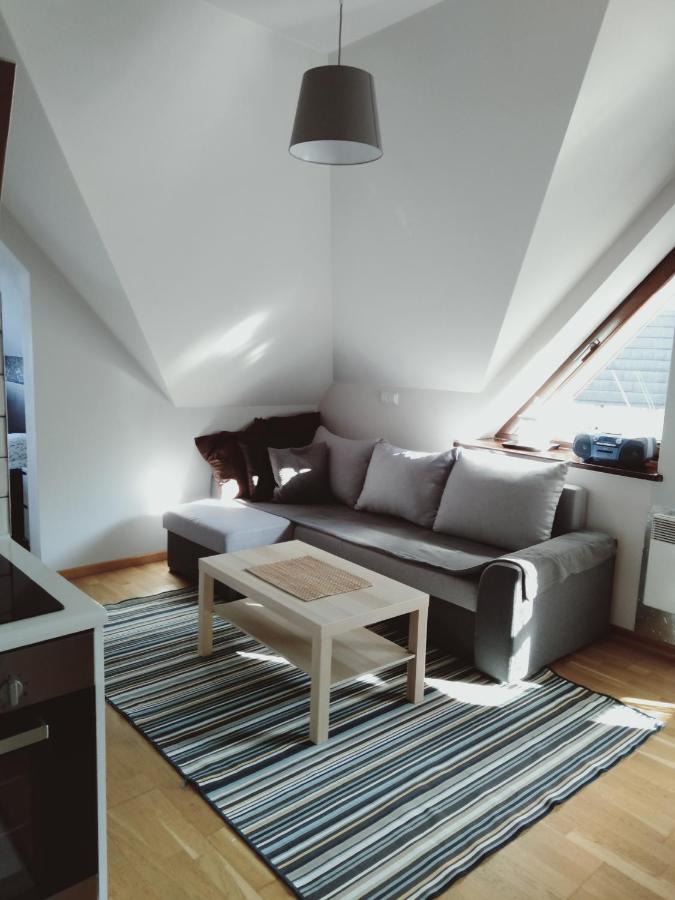 Apartament Kasprowy Jaszczurowka Закопане Экстерьер фото